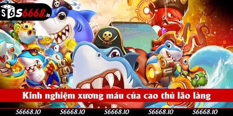 Tích lũy thực chiến từ những người từng trải Tích lũy thực chiến từ những người từng trải