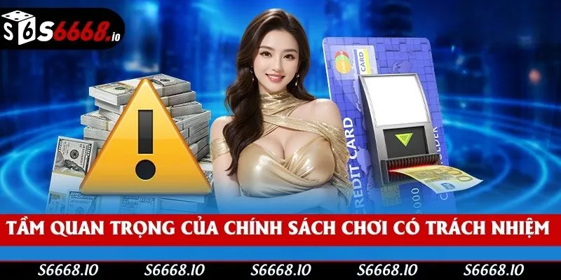 Tầm quan trọng của điều khoản trách nhiệm S666 Tầm quan trọng của điều khoản trách nhiệm S666