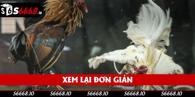 Hội viên có thể xem lại một cách dễ dàng nhất Hội viên có thể xem lại một cách dễ dàng nhất