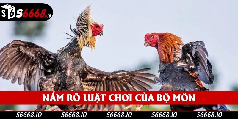 Nắm rõ luật chơi của bộ môn Nắm rõ luật chơi của bộ môn