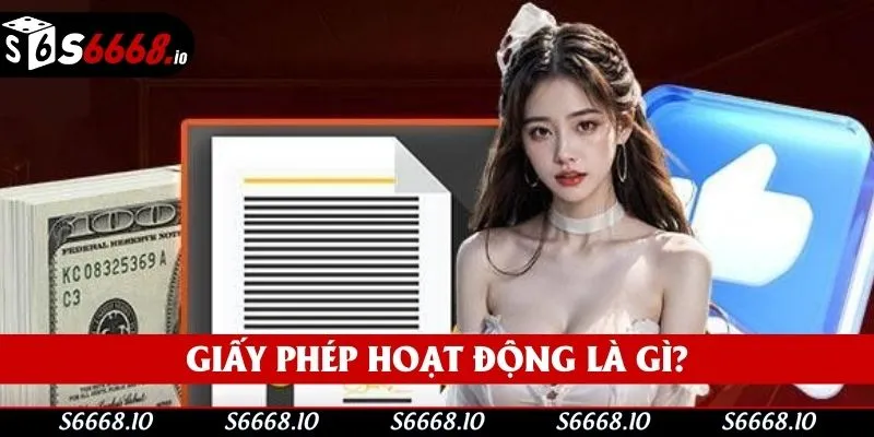 Sơ lược giấy phép hoạt động Sơ lược giấy phép hoạt động