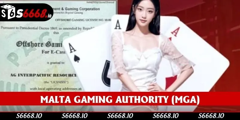 MGA là chứng chỉ hàng đầu trên thị trường MGA là chứng chỉ hàng đầu trên thị trường