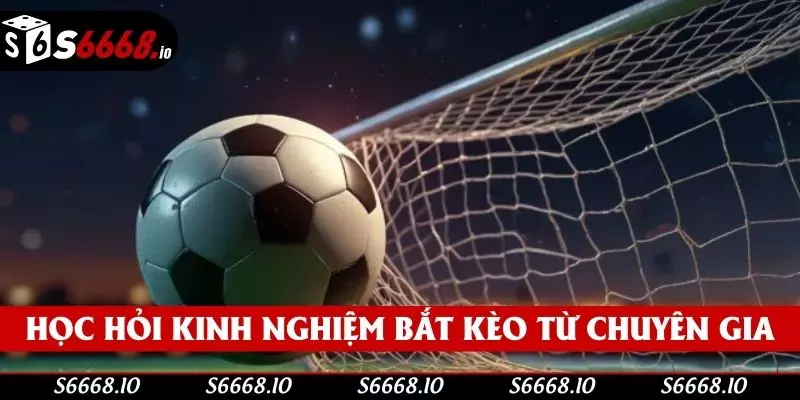 Học hỏi kinh nghiệm bắt kèo 3/4 từ chuyên gia Học hỏi kinh nghiệm bắt kèo 3/4 từ chuyên gia