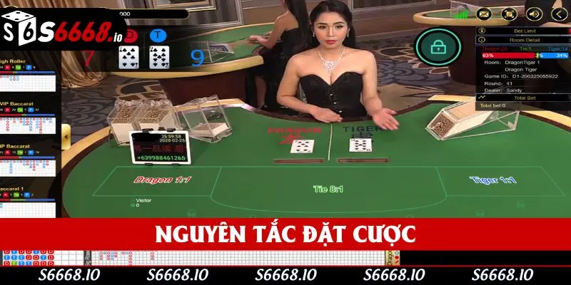 Nguyên tắc đặt cược mà bạn cần chú ý khi tham gia Nguyên tắc đặt cược mà bạn cần chú ý khi tham gia