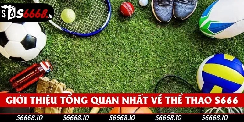 Giới thiệu tổng quan nhất về thể thao S666 Giới thiệu tổng quan nhất về thể thao S666