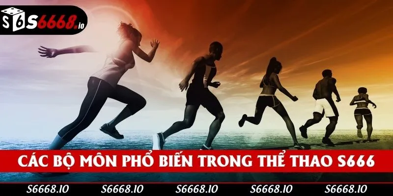 Giới thiệu các bộ môn phổ biến trong thể thao S666 Giới thiệu các bộ môn phổ biến trong thể thao S666